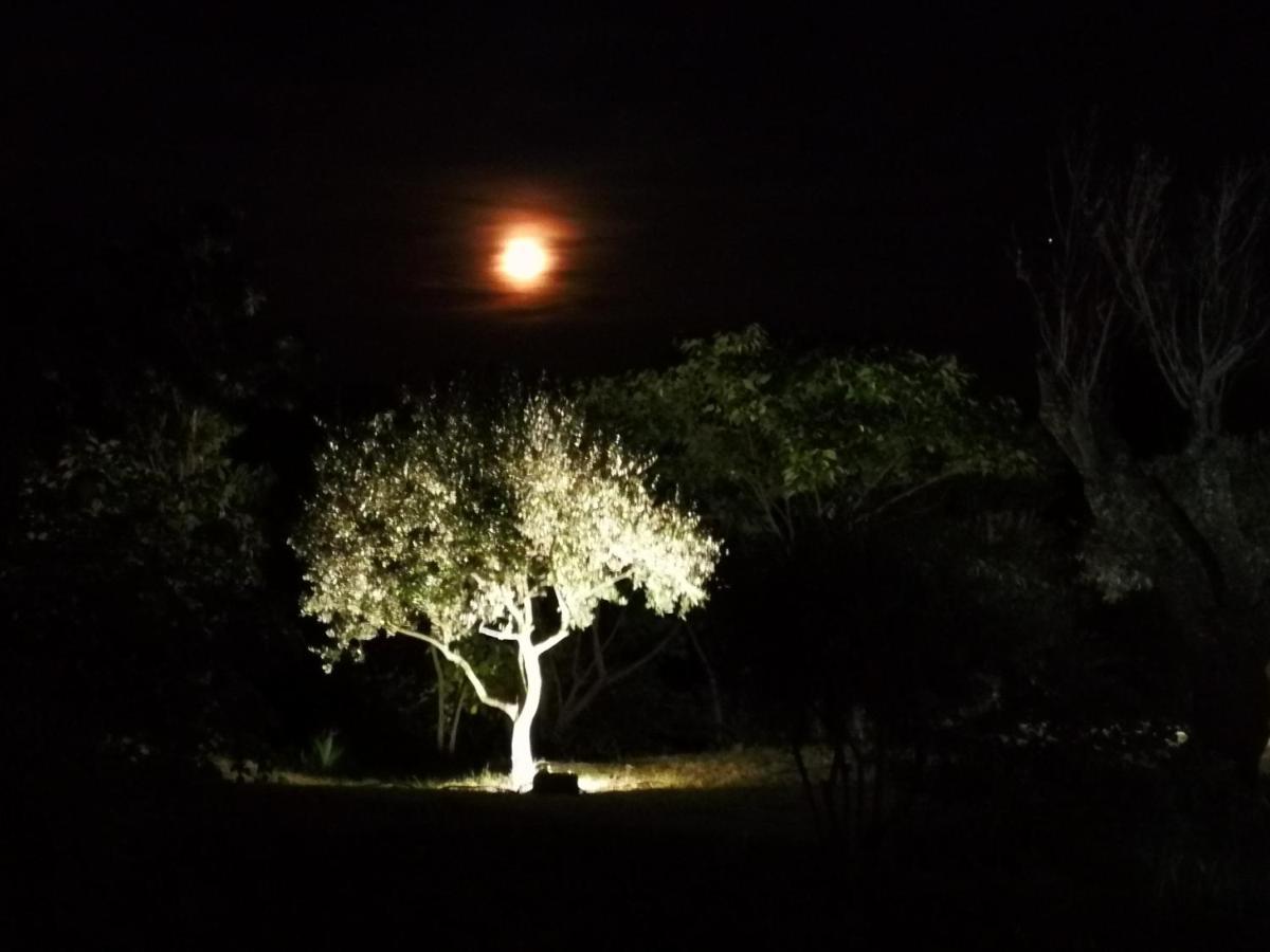 La Bastide Du Limon Aparthotel Mormoiron ภายนอก รูปภาพ
