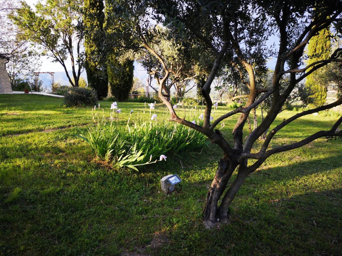 La Bastide Du Limon Aparthotel Mormoiron ภายนอก รูปภาพ